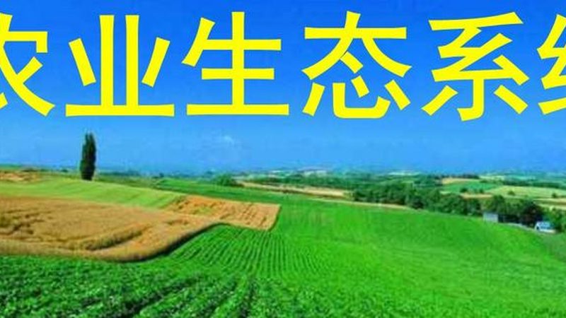 全国蔬菜批发市场供应商电话：如何找到可靠的合作伙伴**