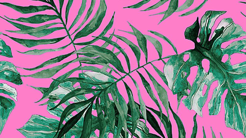 南方水果种植基地：新手创业的沃土选择**