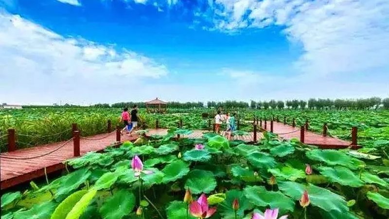 家庭农场主，农资批发还是零售，你选对了吗？**