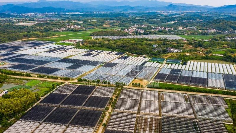 农业产业园可行性研究报告评审要点解析**