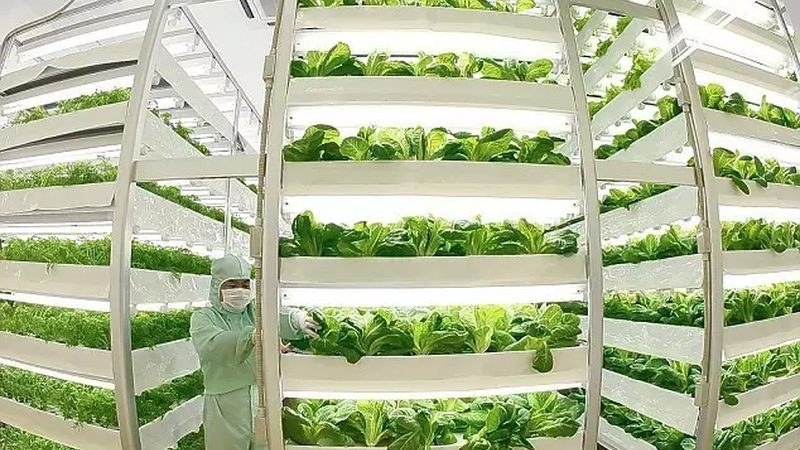 采摘园盈利模式解析：构建可持续的运营策略