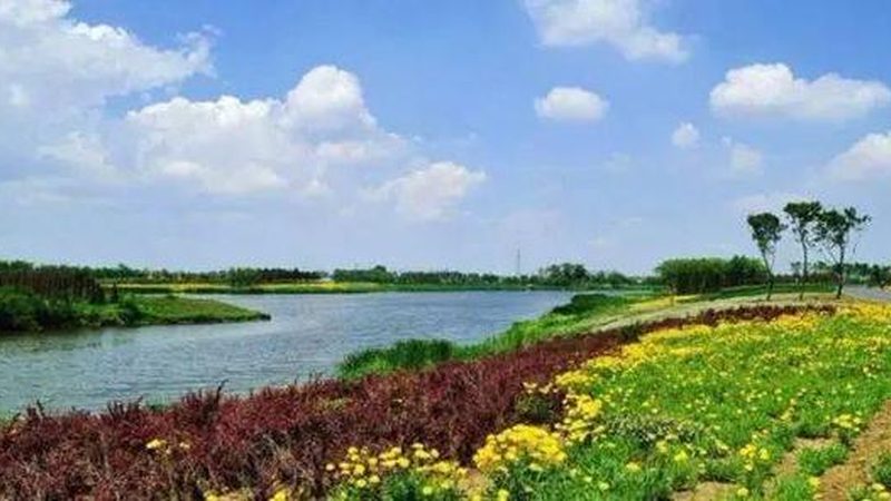 大棚材质分类：家庭农场种植的关键选择**