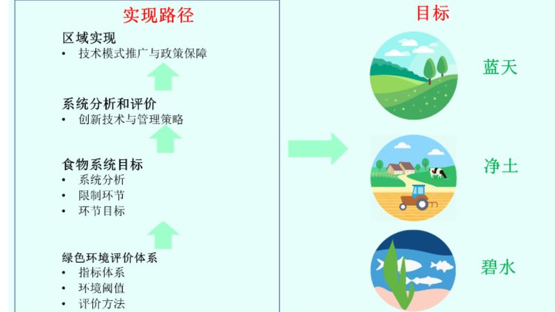 合作社注销材料清单及费用全解析