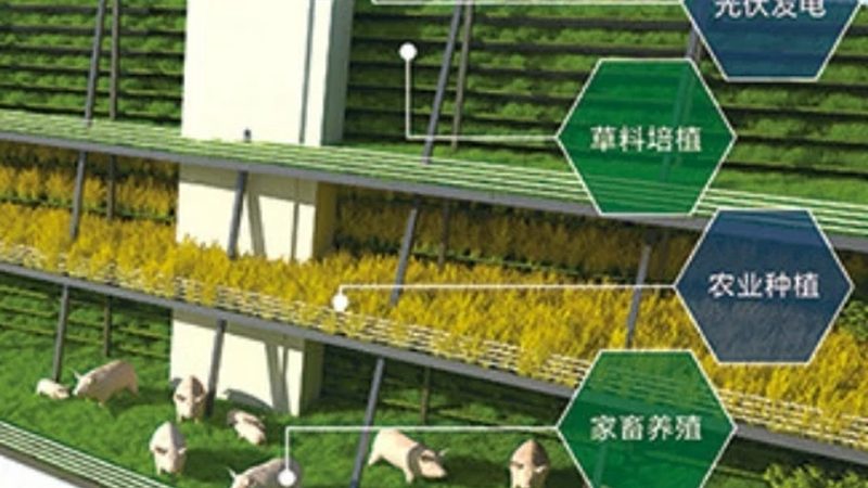 广西农产品冷库如何选择？性价比高的关键因素解析
