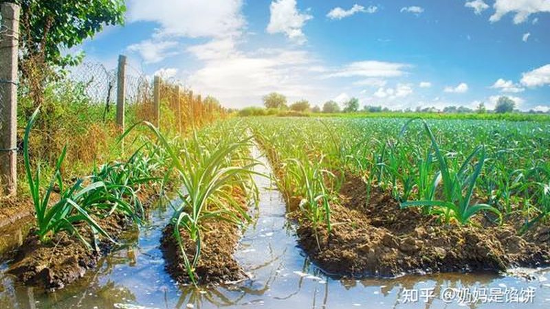 玻璃温室工程公司怎么挑才不踩坑