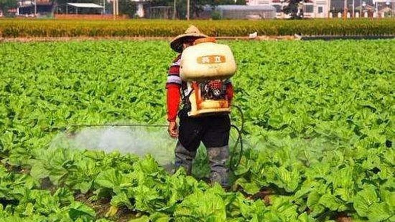 四川种植技术推广站：电话咨询，农业丰收的绿色通道**