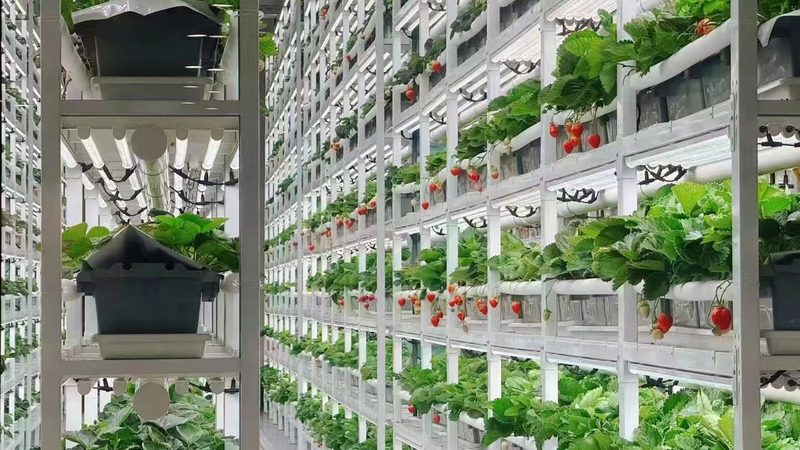 行业现状：品牌林立，品质为王