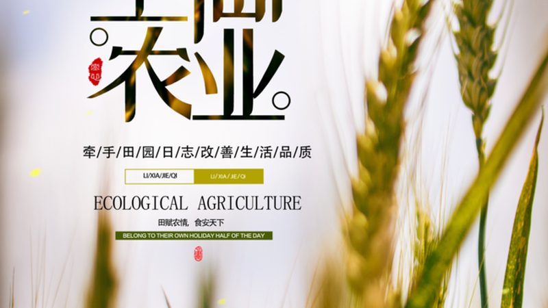 绿色食品认证，为农产品品质保驾护航